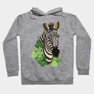 Zebra Hoodie